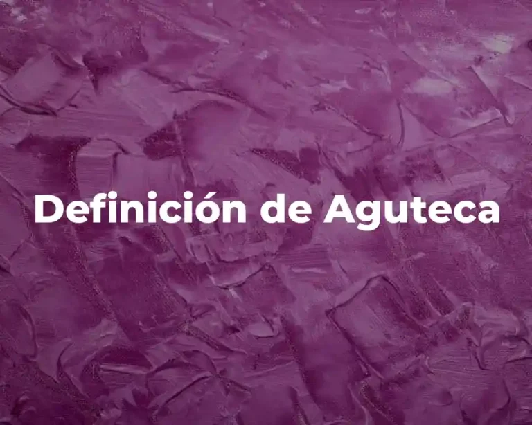 Definición de Aguteca