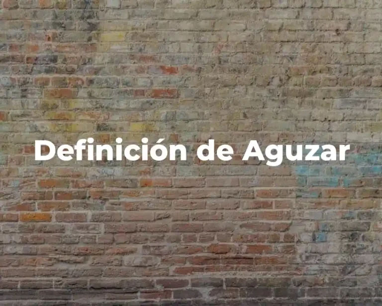 Definición de Aguzar