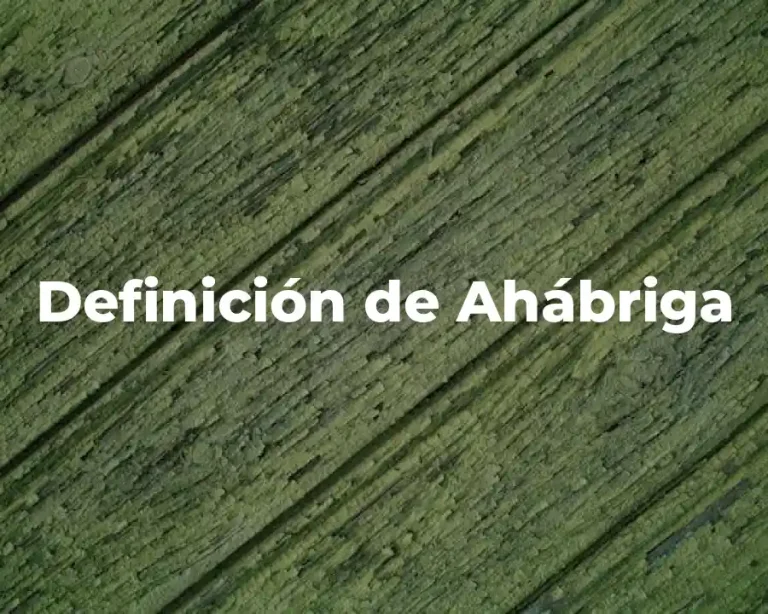 Definición de Ahábriga