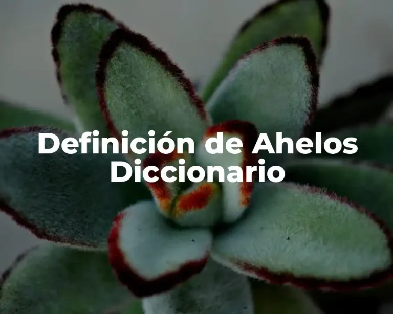Definición de Ahelos Diccionario