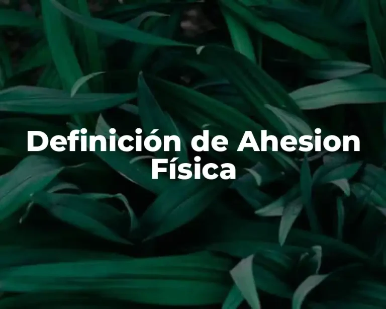 Definición de Ahesion Física