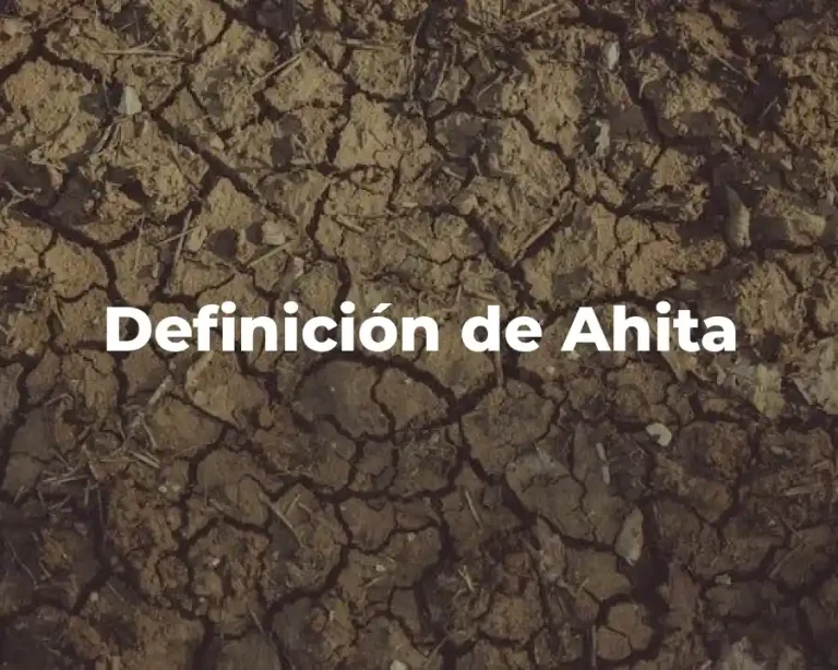 Definición de Ahita