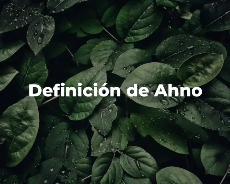 Definición de Ahno