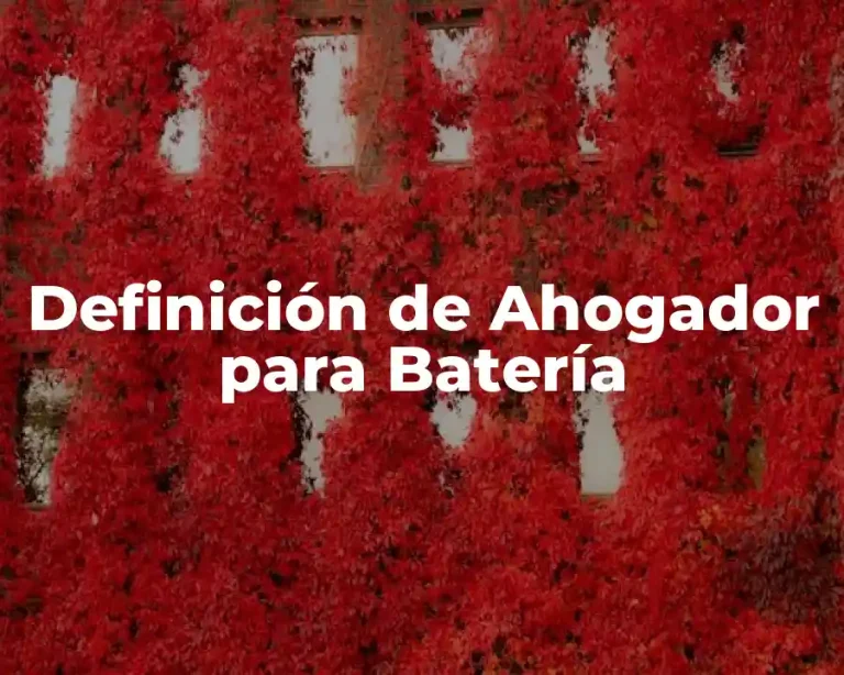 Definición de Ahogador para Batería