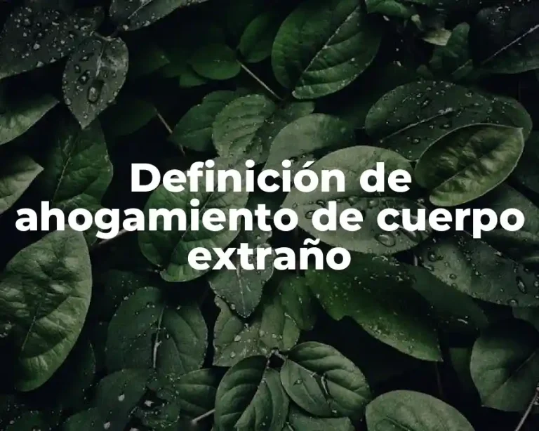 Definición de ahogamiento de cuerpo extraño