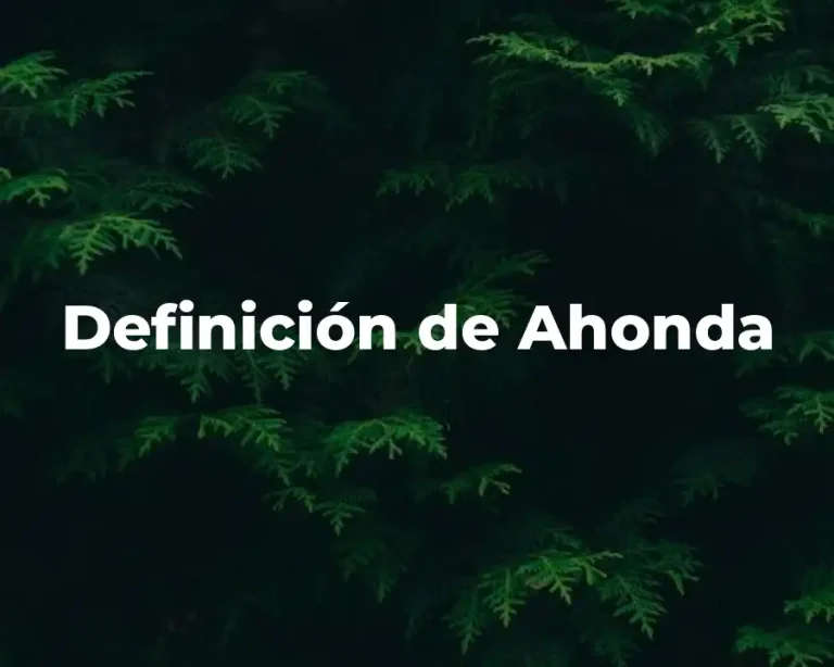 Definición de Ahonda