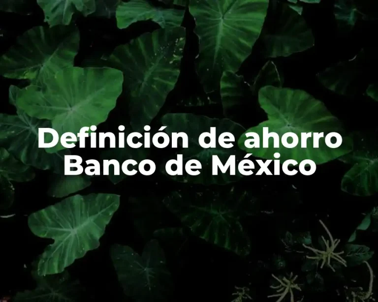 Definición de ahorro Banco de México