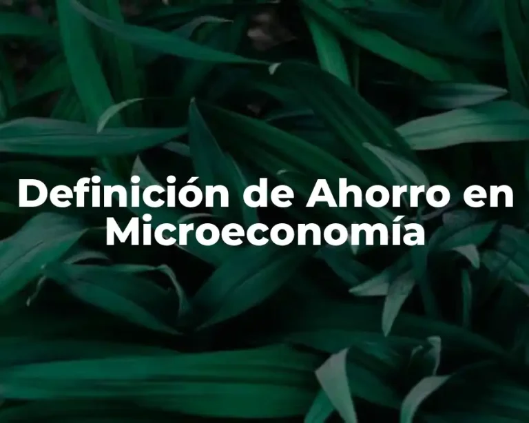 Definición de Ahorro en Microeconomía