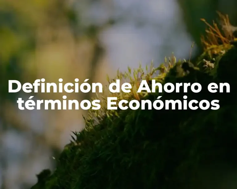 Definición de Ahorro en términos Económicos