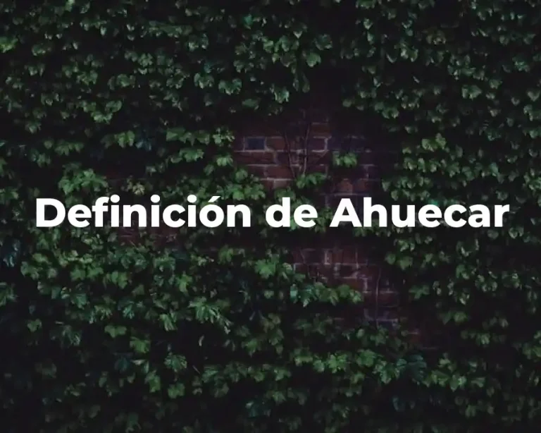 Definición de Ahuecar