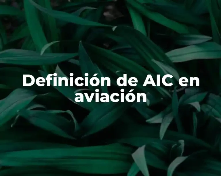 Definición de AIC en aviación
