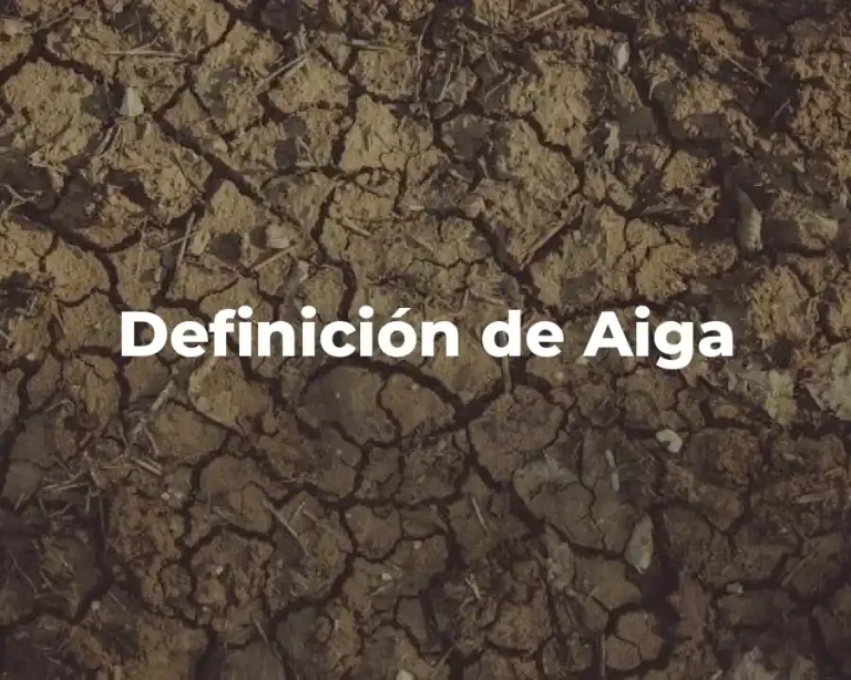 Definición de Aiga