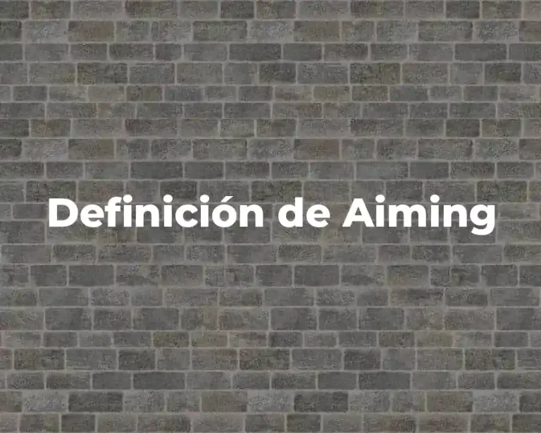 Definición de Aiming