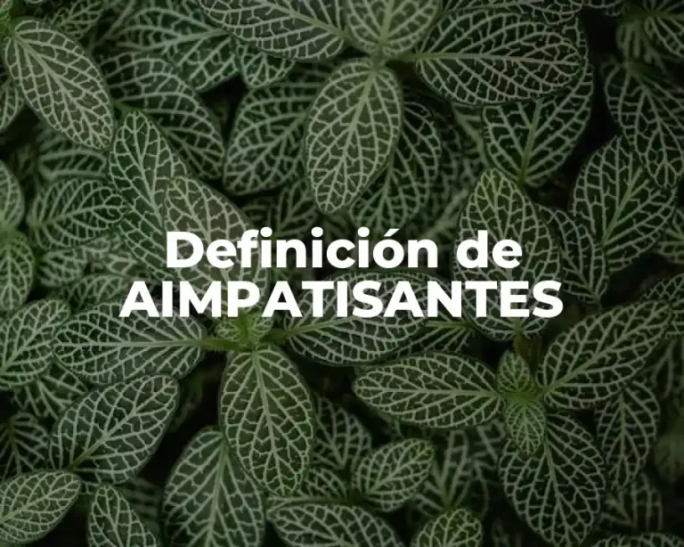 Definición de AIMPATISANTES