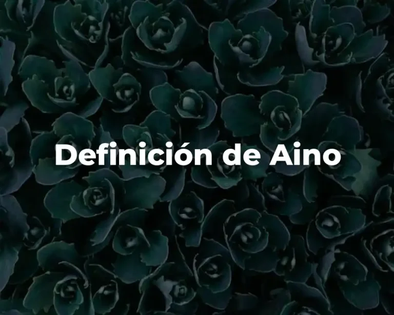 Definición de Aino