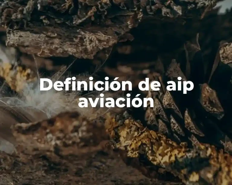 Definición de aip aviación