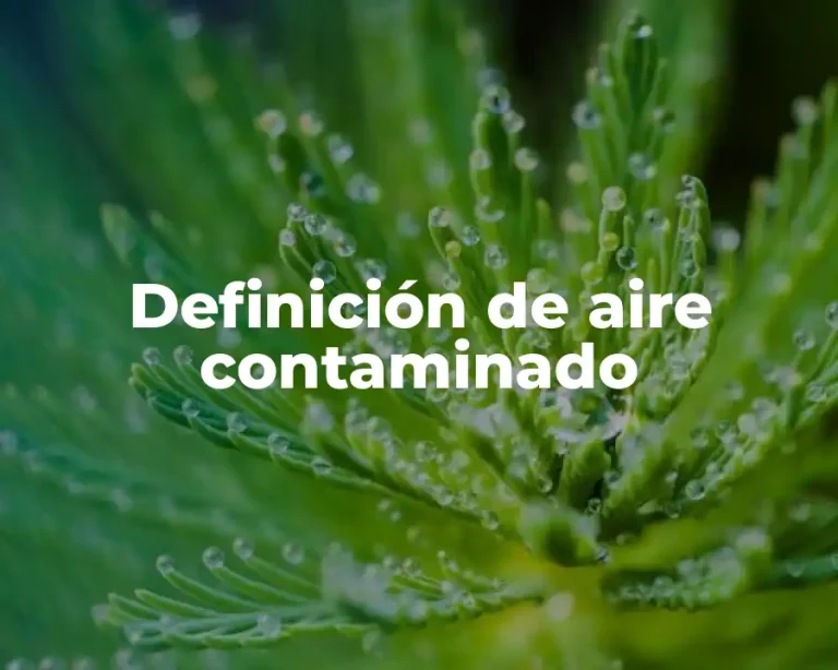Definición de aire contaminado