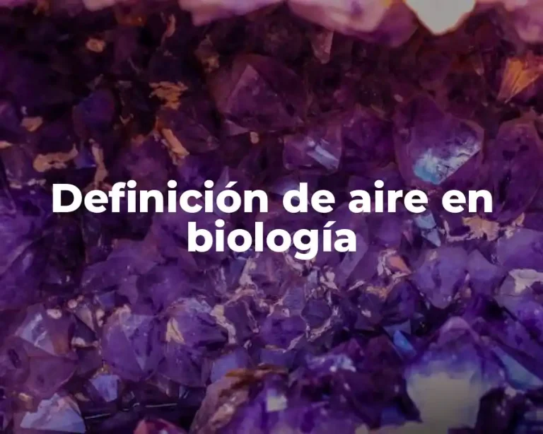 Definición de aire en biología