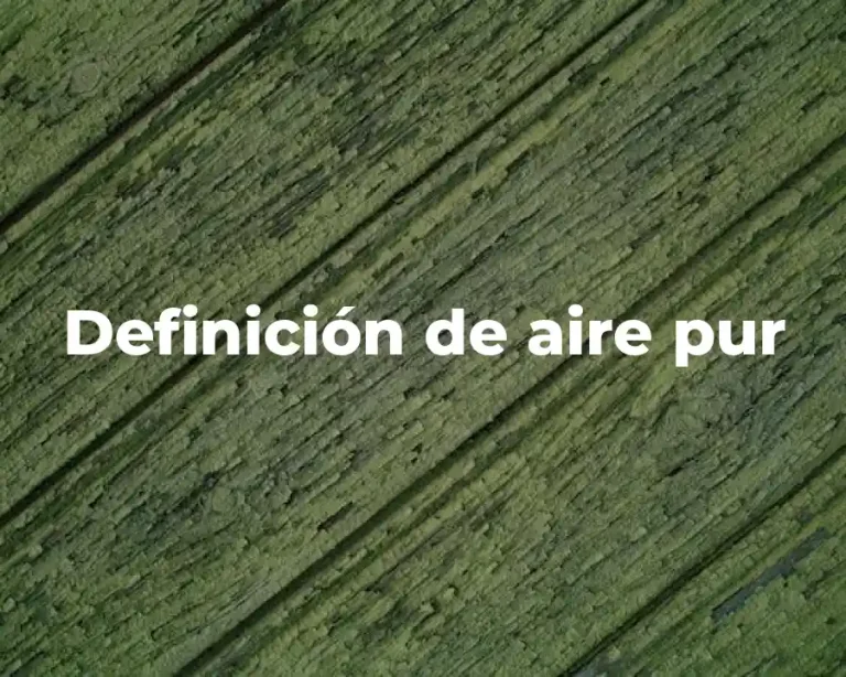 Definición de aire pur