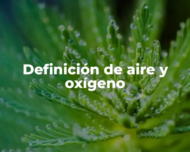 Definición de aire y oxígeno