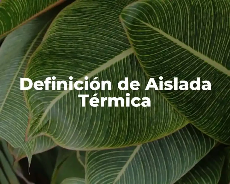 Definición de Aislada Térmica
