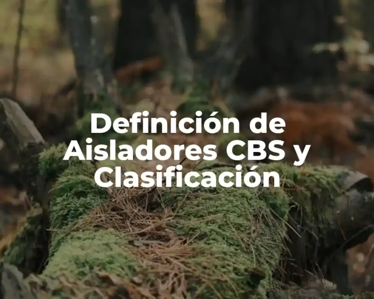 Definición de Aisladores CBS y Clasificación