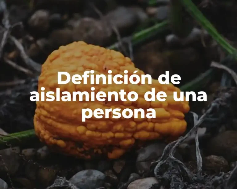 Definición de aislamiento de una persona