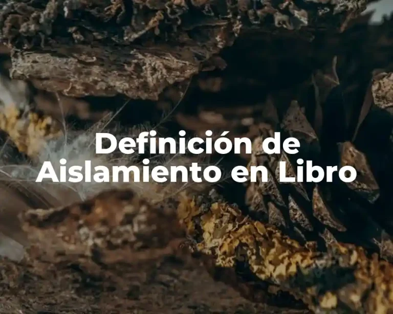 Definición de Aislamiento en Libro