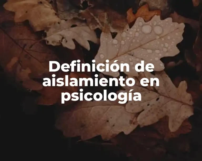 Definición de aislamiento en psicología