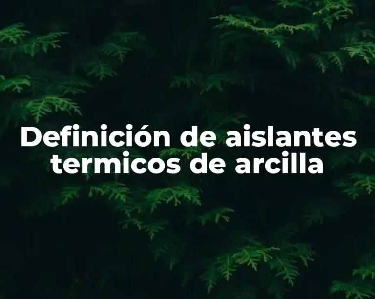 Definición de aislantes termicos de arcilla