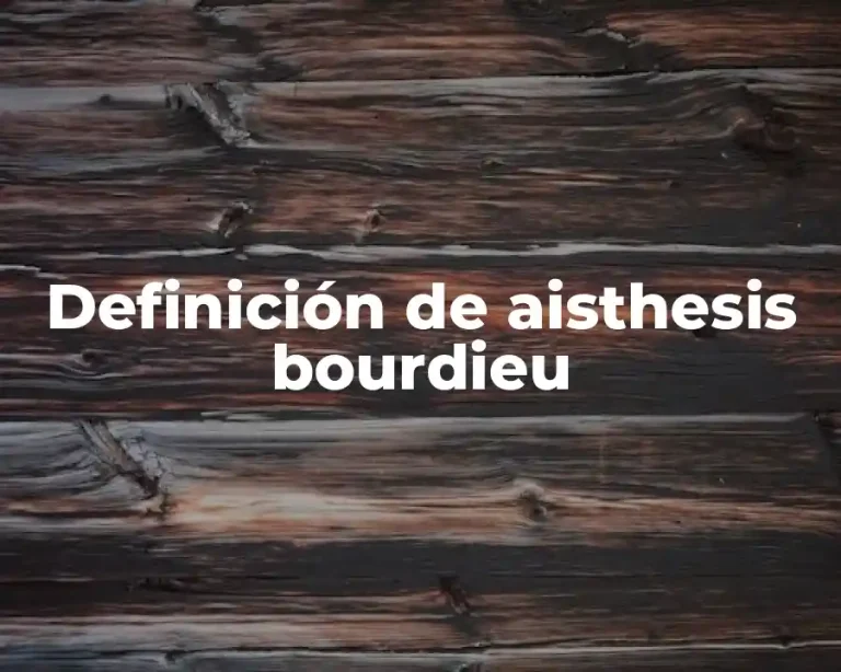 Definición de aisthesis bourdieu