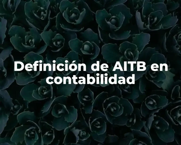 Definición de AITB en contabilidad