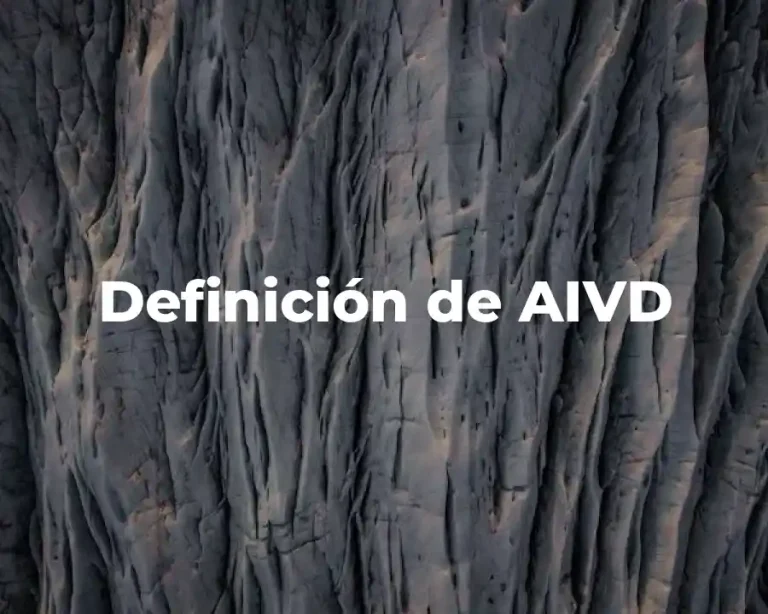 Definición de AIVD