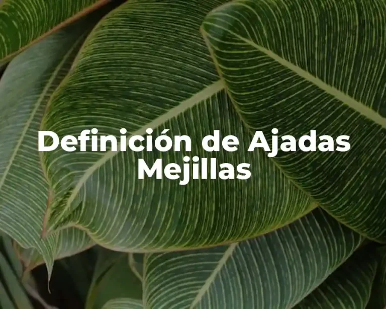 Definición de Ajadas Mejillas