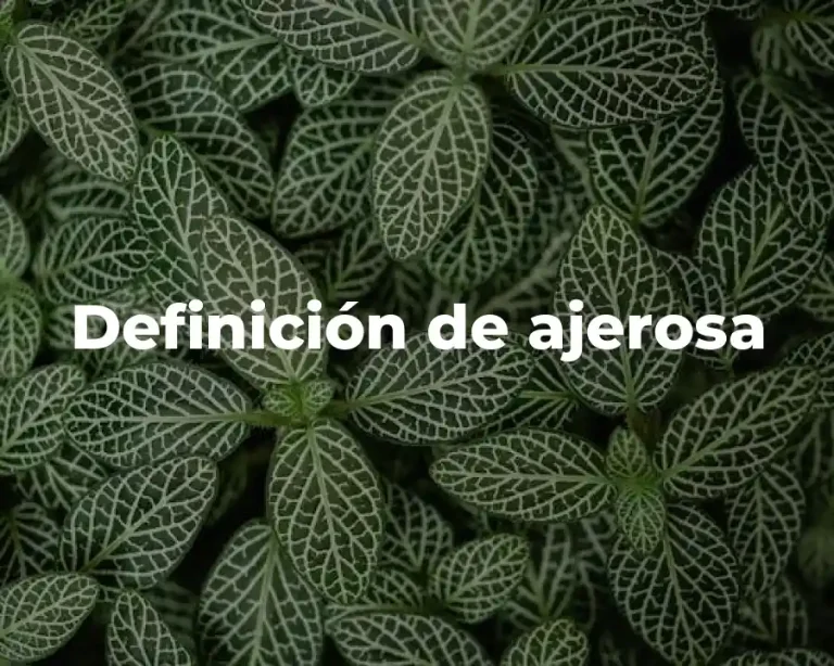 Definición de ajerosa