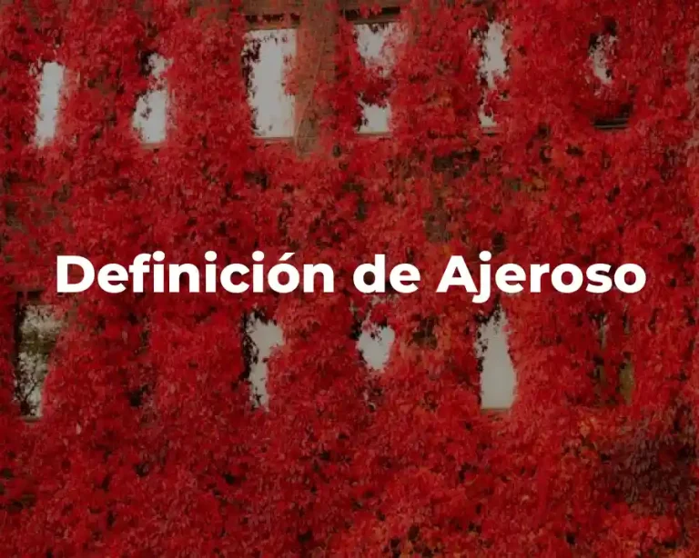 Definición de Ajeroso