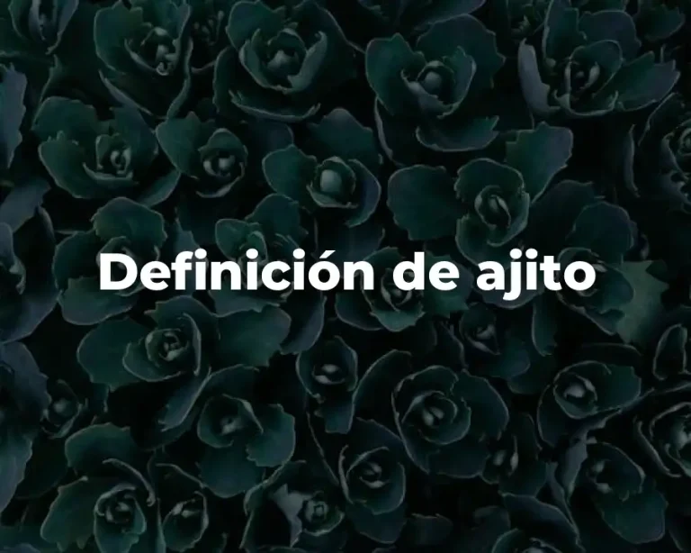 Definición de ajito