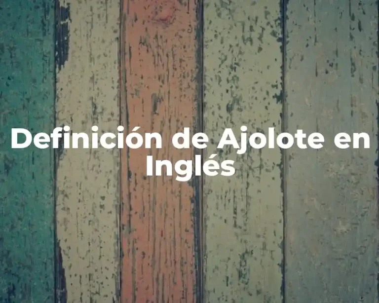 Definición de Ajolote en Inglés