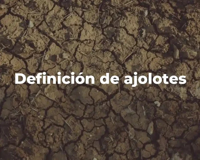 Definición de ajolotes
