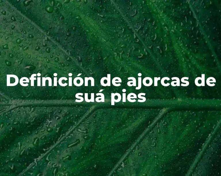 Definición de ajorcas de suá pies
