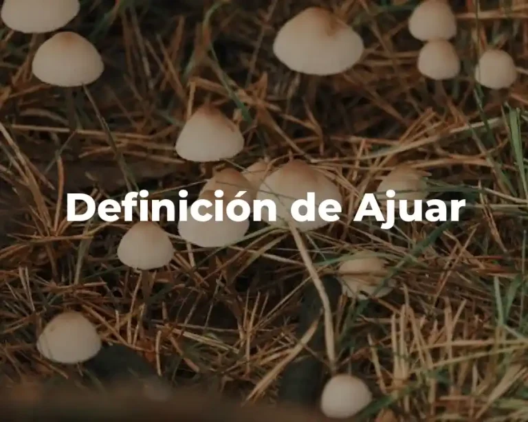Definición de Ajuar