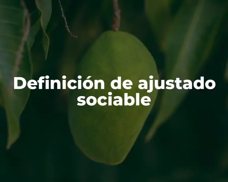 Definición de ajustado sociable