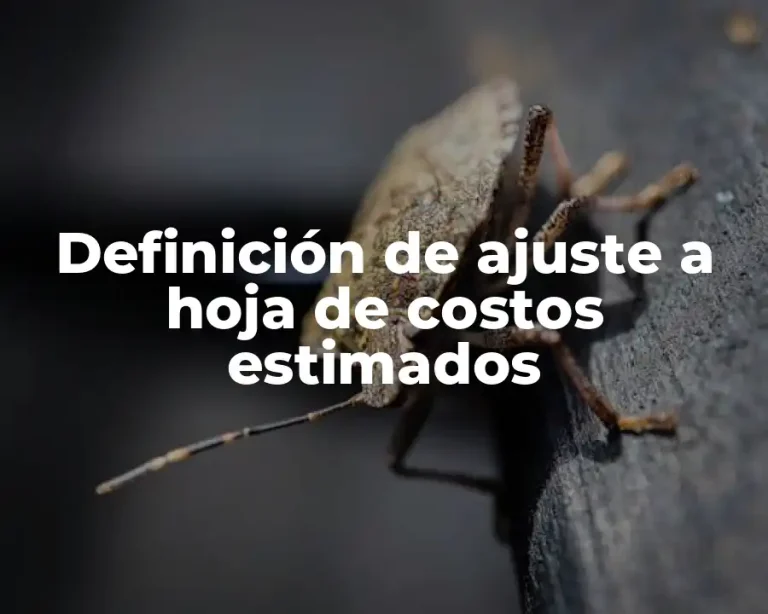 Definición de ajuste a hoja de costos estimados