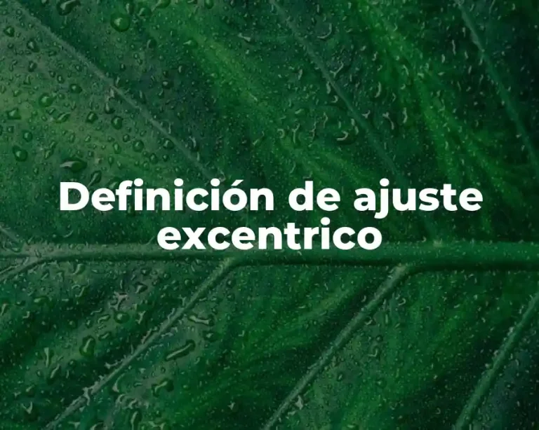 Definición de ajuste excentrico