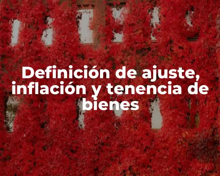 Definición de ajuste, inflación y tenencia de bienes