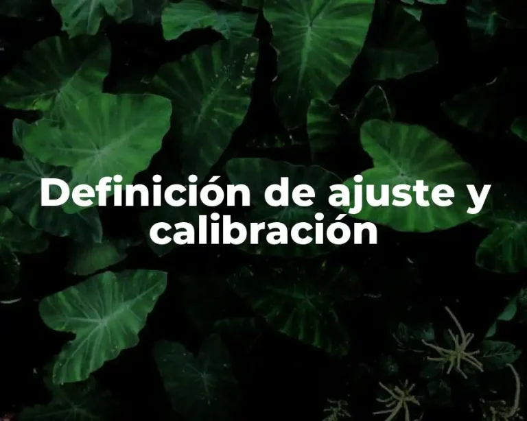 Definición de ajuste y calibración