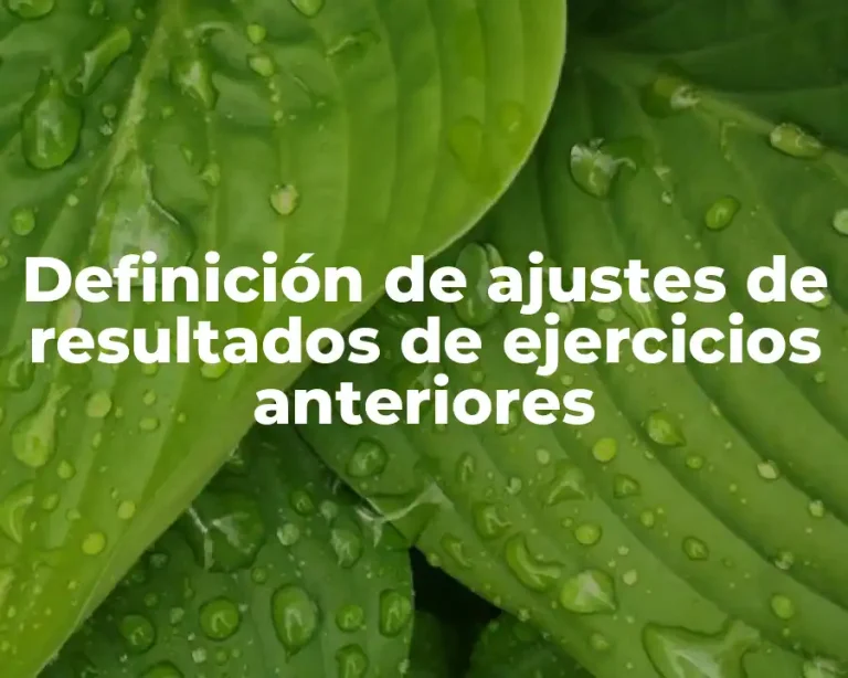 Definición de ajustes de resultados de ejercicios anteriores
