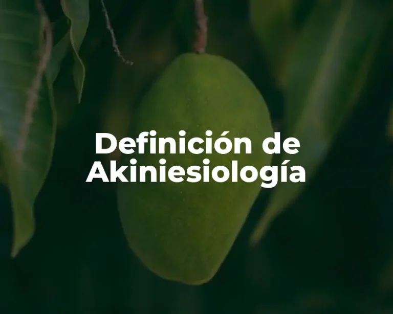 Definición de Akiniesiología