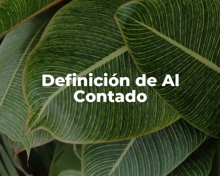 Definición de Al Contado
