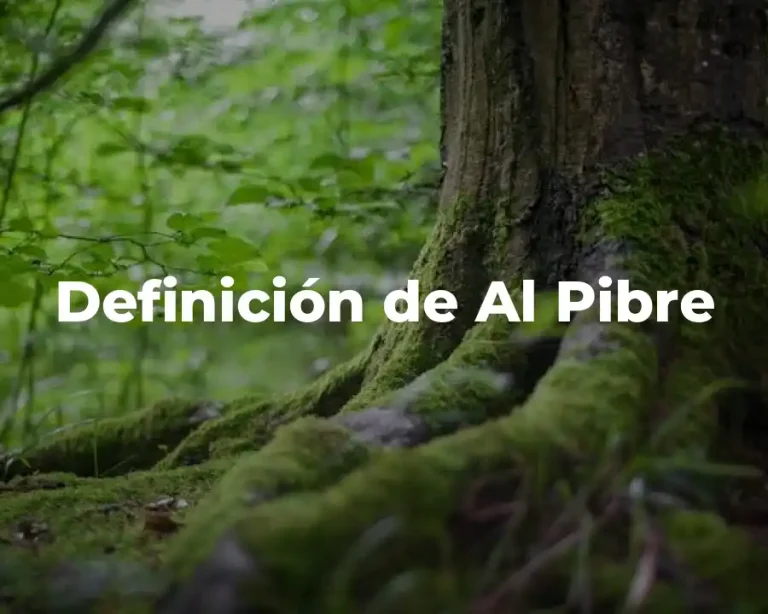 Definición de Al Pibre